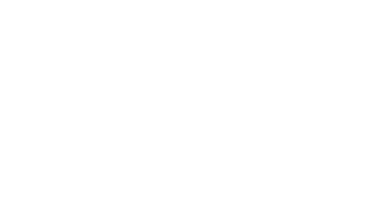 Bull Army